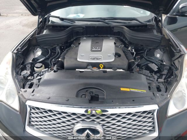 JN1BJ0RP5HM383429 Infiniti QX50