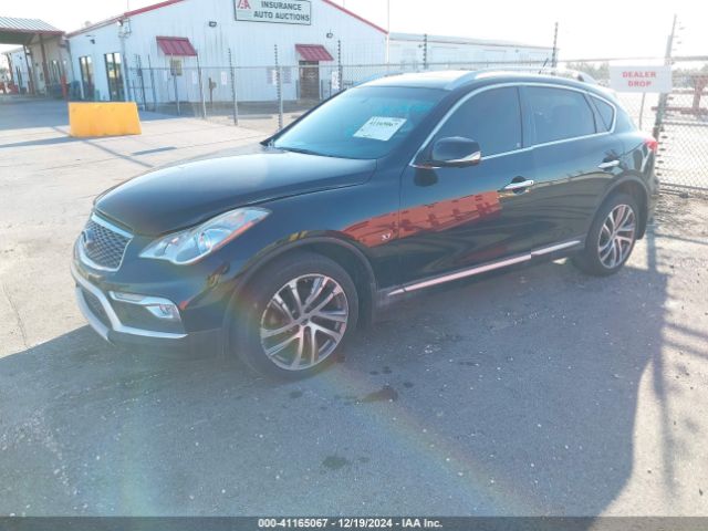 JN1BJ0RP5HM383429 Infiniti QX50