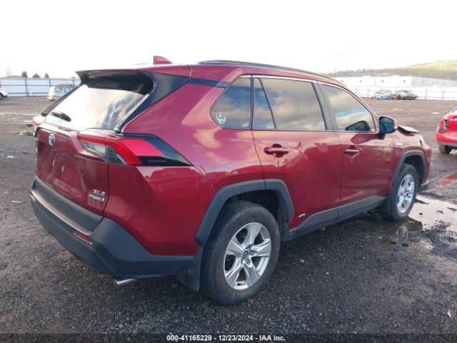 2T3RWRFV1KW012119 Toyota Rav4 Hybrid Xle