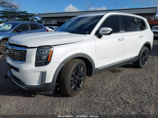 5XYP54HC8LG062508 KIA Telluride Sx