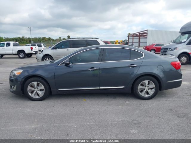 KNALN4D77F5177795 KIA Cadenza Premium