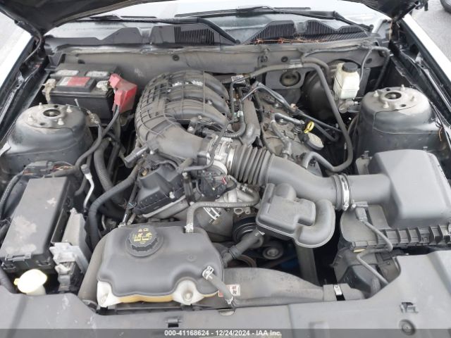 1ZVBP8AM3E5333207 Ford Mustang V6