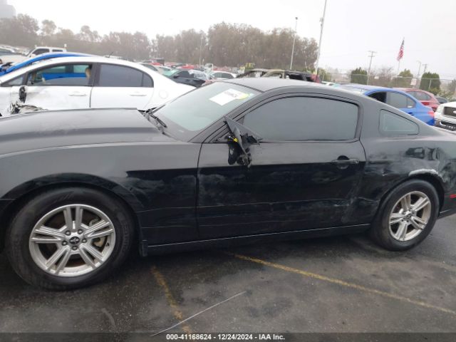 1ZVBP8AM3E5333207 Ford Mustang V6