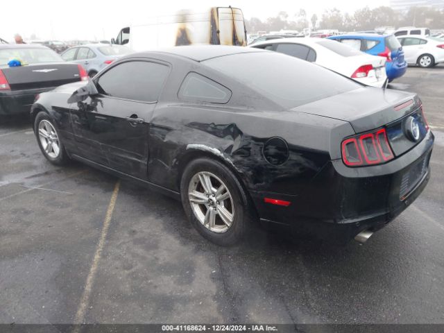 1ZVBP8AM3E5333207 Ford Mustang V6