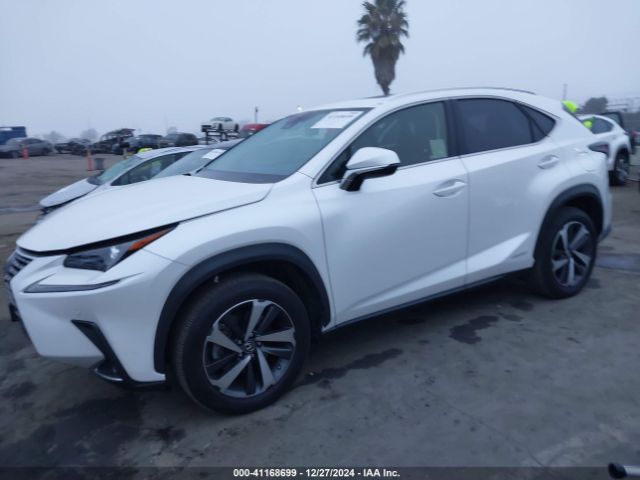 JTJGJRDZ5L5004302 Lexus NX 300H