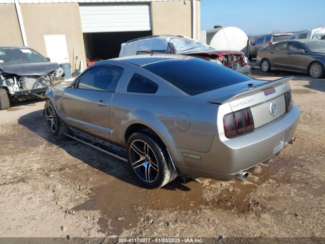 2009 FORD SHELBY GT500 1ZVHT88S695139030 Photo 2