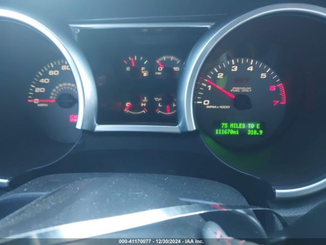 2009 FORD SHELBY GT500 1ZVHT88S695139030 Photo 6