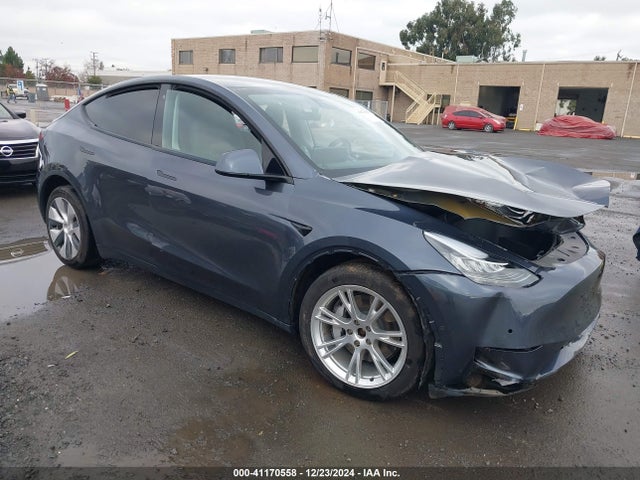 2020 TESLA MODEL Y 5YJYGDEE7LF030080 Photo 0