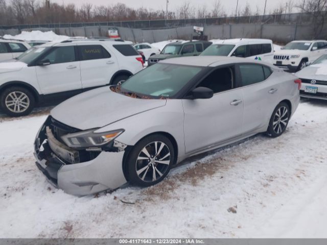 1N4AA6AP5HC446449 Nissan Maxima 3.5 S