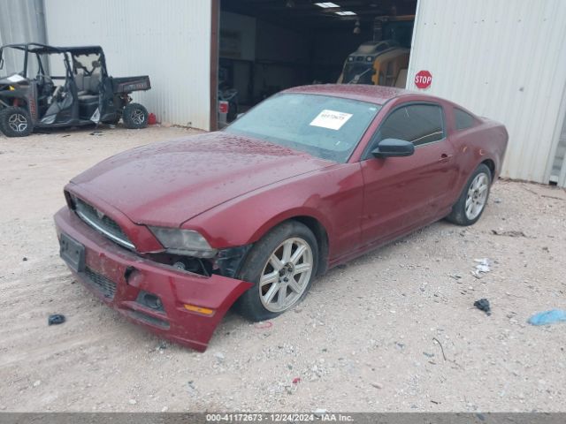 1ZVBP8AM3E5284414 Ford Mustang V6
