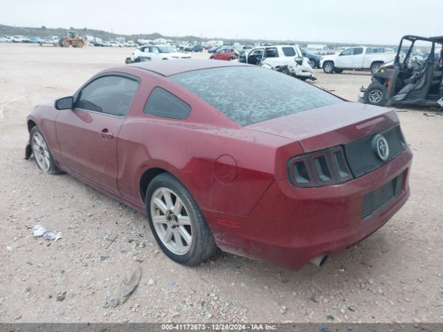 1ZVBP8AM3E5284414 Ford Mustang V6