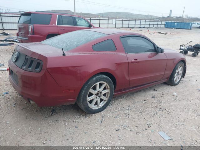 1ZVBP8AM3E5284414 Ford Mustang V6