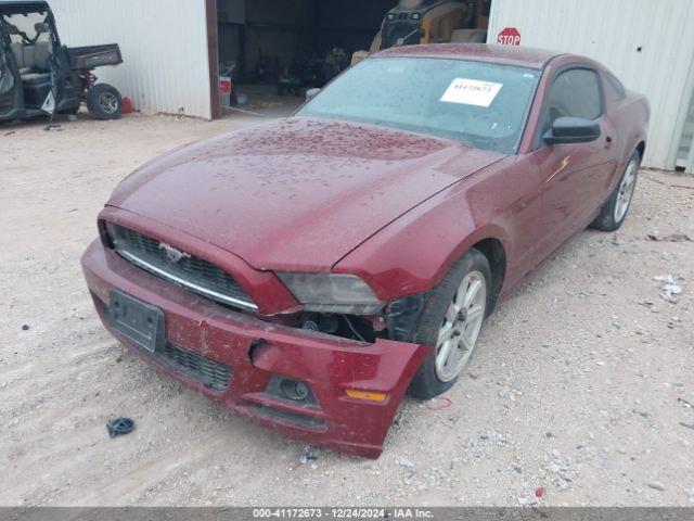 1ZVBP8AM3E5284414 Ford Mustang V6