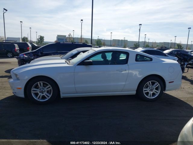 1ZVBP8AM4E5215327 Ford Mustang V6