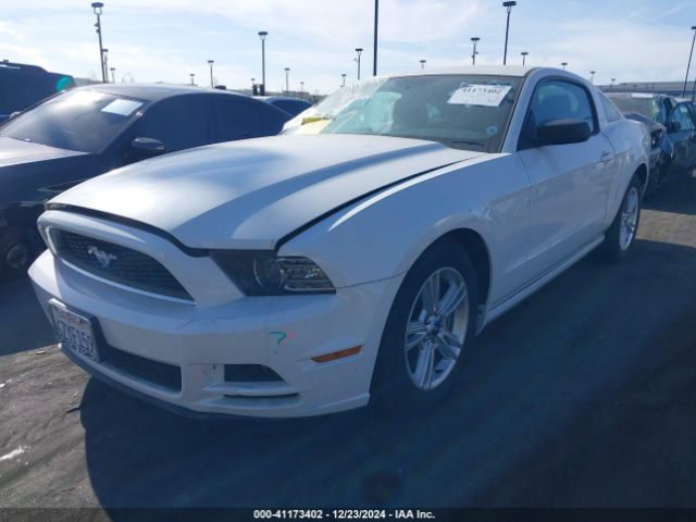 1ZVBP8AM4E5215327 Ford Mustang V6