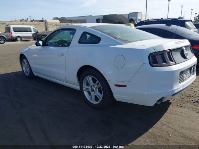 1ZVBP8AM4E5215327 Ford Mustang V6