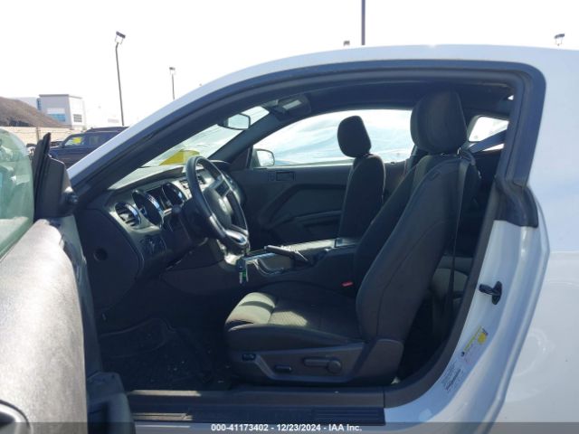 1ZVBP8AM4E5215327 Ford Mustang V6