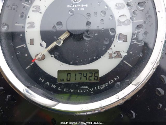 2009 HARLEY-DAVIDSON FLSTN 1HD1JD5139Y029046 Photo 6