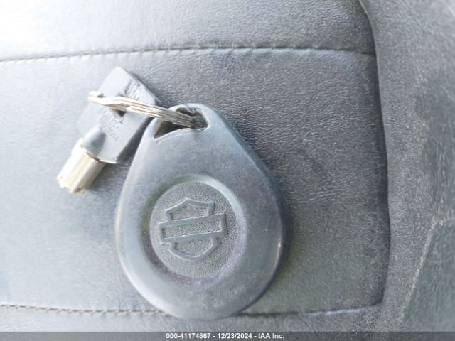 2015 HARLEY-DAVIDSON FLHXSE 1HD1PXN33FB950361 Photo 10