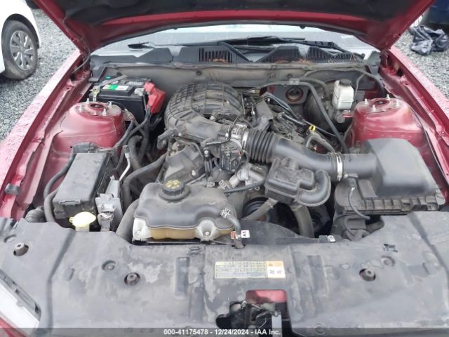 1ZVBP8AM7E5269821 Ford Mustang V6
