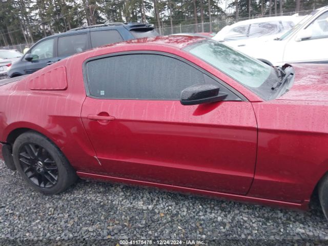 1ZVBP8AM7E5269821 Ford Mustang V6