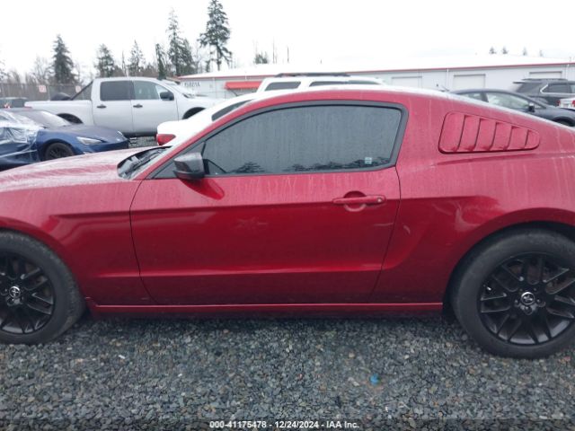 1ZVBP8AM7E5269821 Ford Mustang V6