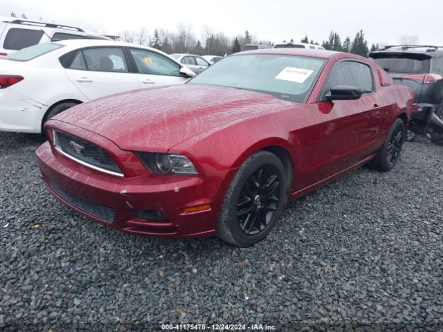 1ZVBP8AM7E5269821 Ford Mustang V6