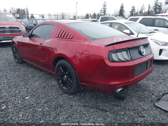 1ZVBP8AM7E5269821 Ford Mustang V6