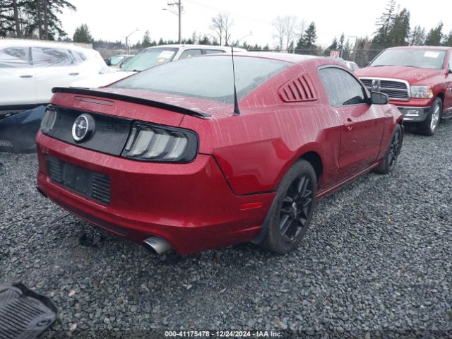 1ZVBP8AM7E5269821 Ford Mustang V6