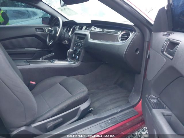 1ZVBP8AM7E5269821 Ford Mustang V6