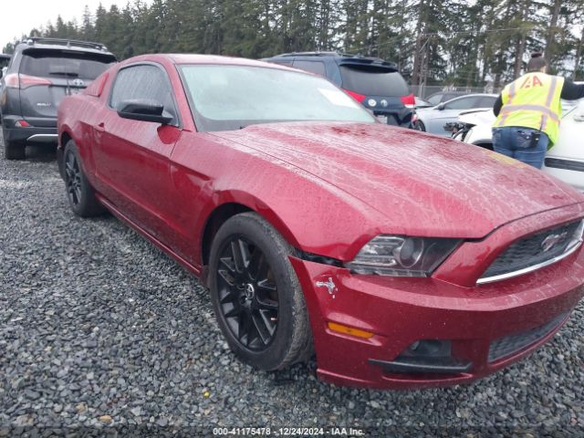1ZVBP8AM7E5269821 Ford Mustang V6