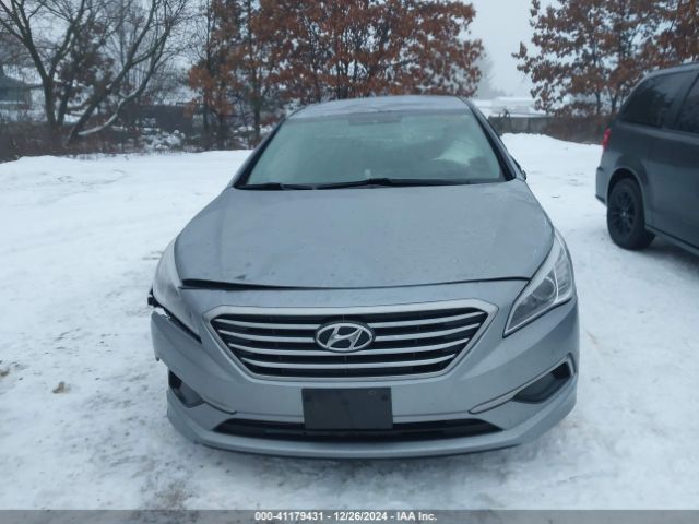 5NPE24AF6HH533771 Hyundai Sonata