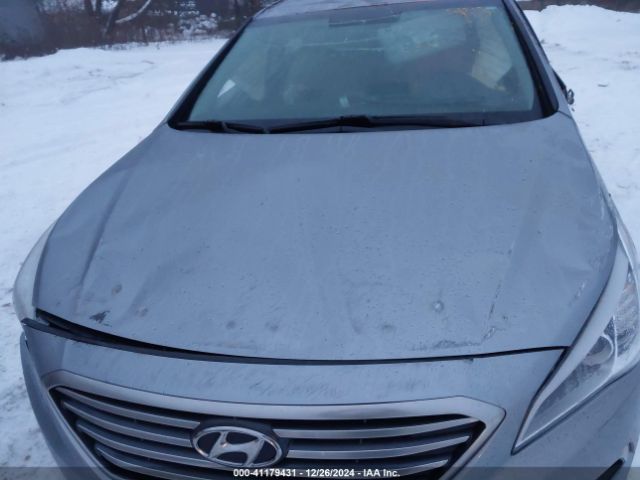 5NPE24AF6HH533771 Hyundai Sonata