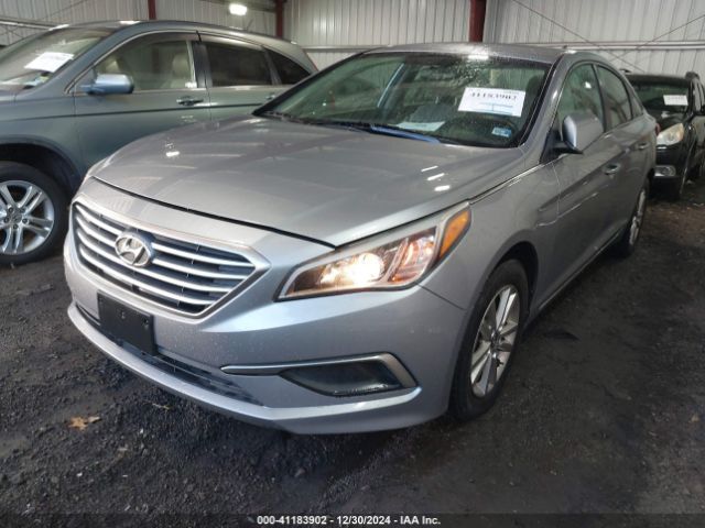 5NPE24AF4HH516189 Hyundai Sonata