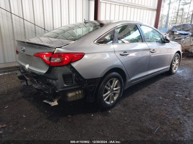 5NPE24AF4HH516189 Hyundai Sonata