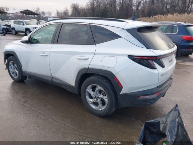 5NMJB3AE0PH239049 Hyundai TUCSON SEL