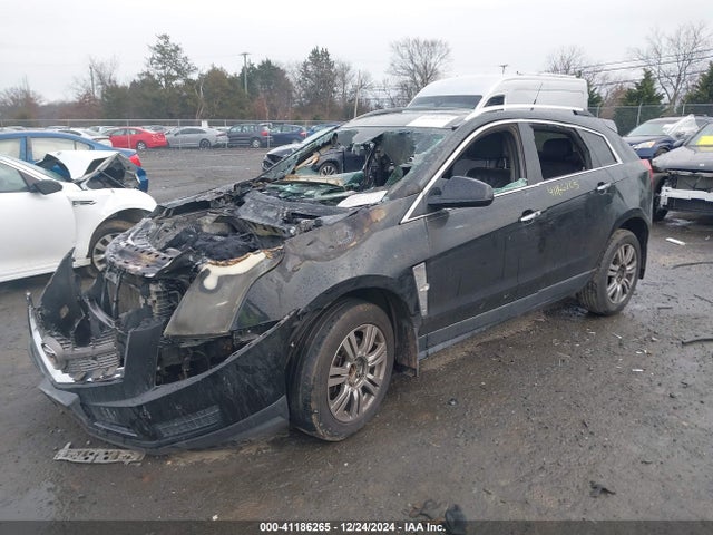 2011 CADILLAC SRX 3GYFNDEY7BS551825 Photo 1
