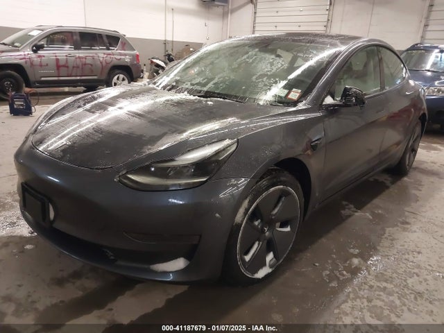 2023 TESLA MODEL 3 5YJ3E1EA2PF683594 Photo 1