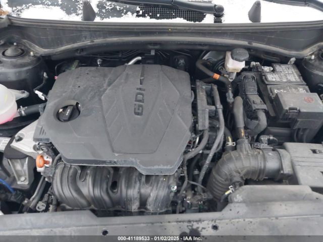 5XYK6CAF6PG096491 KIA Sportage X-line
