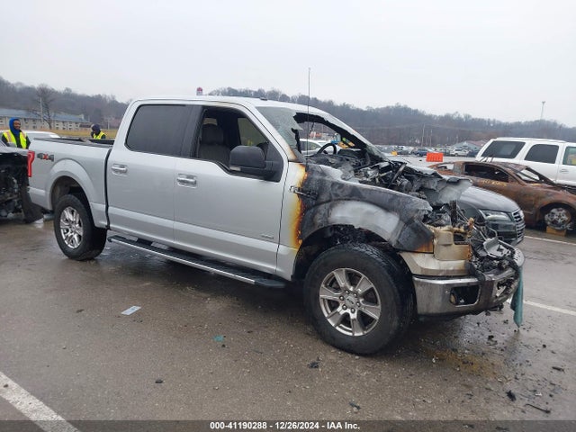 Ford F-150 Xlt 2015 1FTEW1EG6FKE39250 Image 1