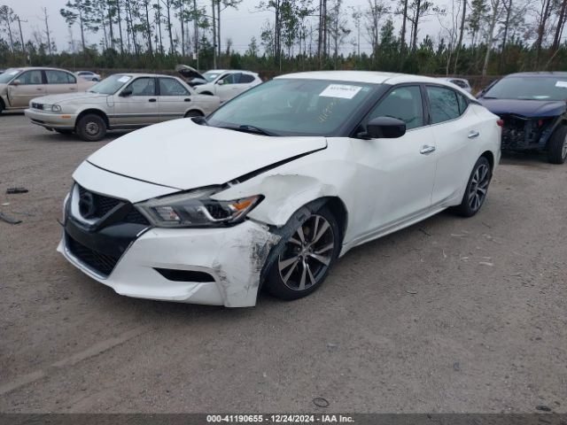 1N4AA6AP9HC366023 Nissan Maxima 3.5 S