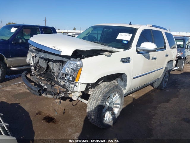 2008 CADILLAC ESCALADE 1GYEC63868R231682 Photo 1