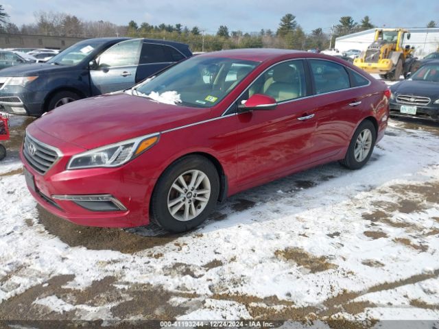 5NPE24AA4FH129675 Hyundai SONATA ECO