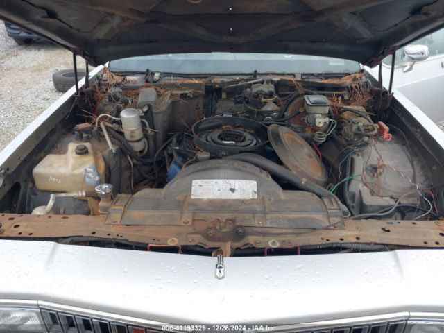 1981 OLDSMOBILE DELTA 88 1G3AY69Y1BM298806 Photo 9