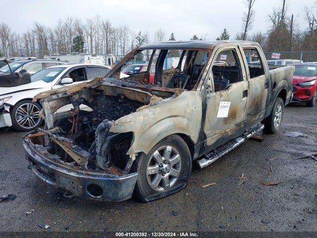 Ford F-150 Xlt 2014 1FTFW1ET0EKF63837 Image 2
