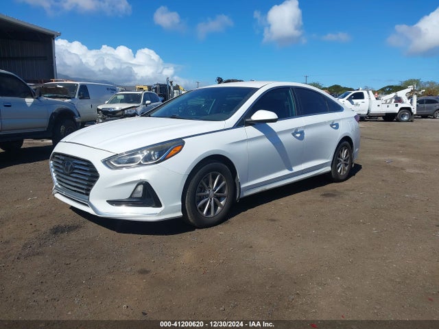 5NPE24AF3JH699462 Hyundai SONATA SE