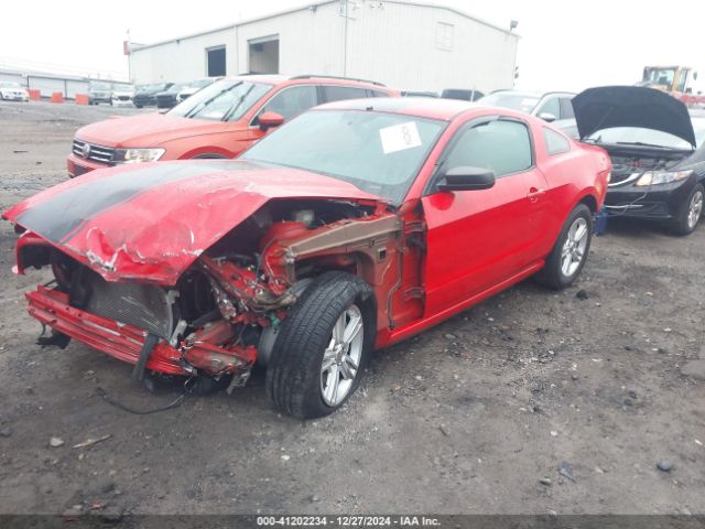 1ZVBP8AM2E5314860 Ford Mustang V6