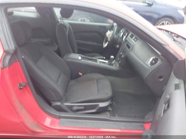 1ZVBP8AM2E5314860 Ford Mustang V6