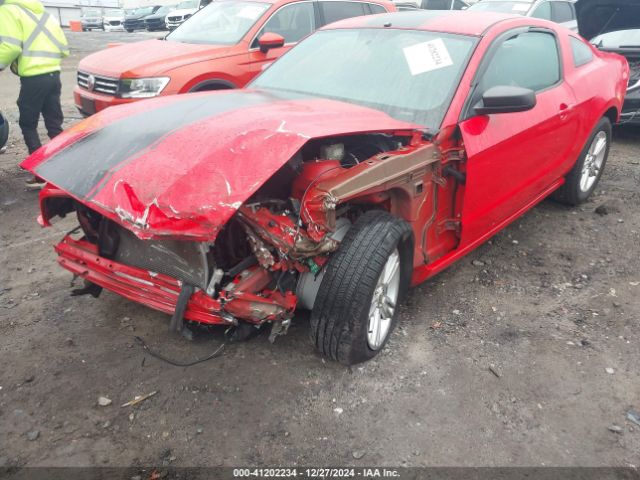 1ZVBP8AM2E5314860 Ford Mustang V6