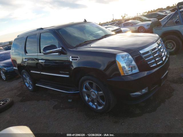1GYS4BEF0ER191065 Cadillac Escalade Luxury